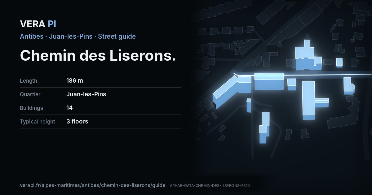 The VERA PI card for Chemin des Liserons