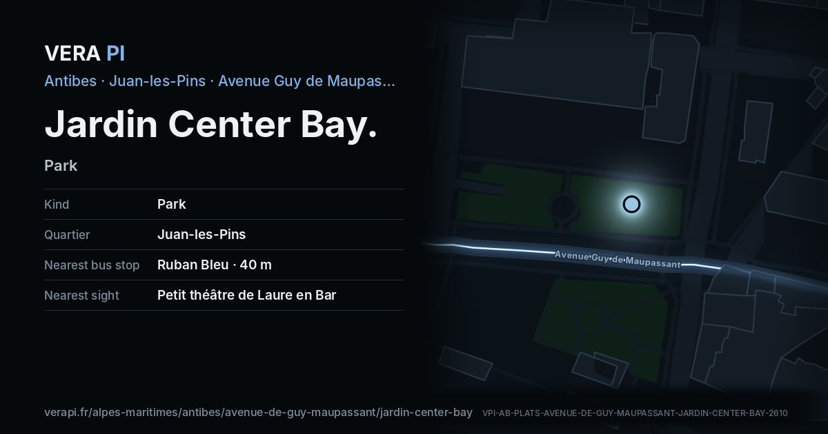 The VERA PI card for Jardin Center Bay