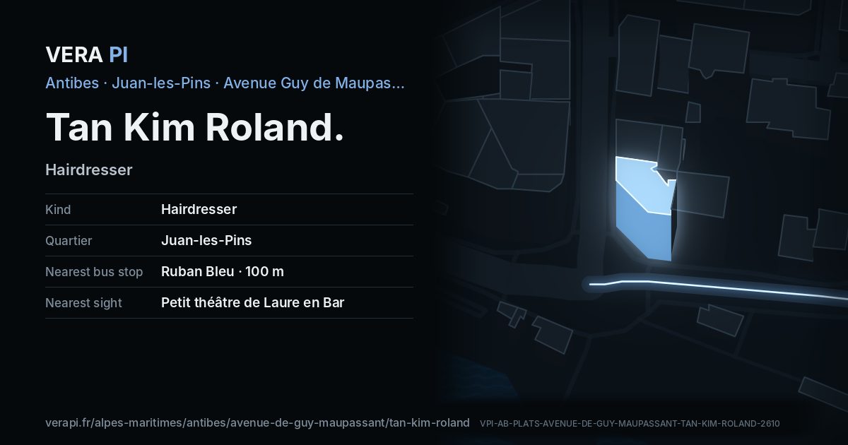 The VERA PI card for Tan Kim Roland