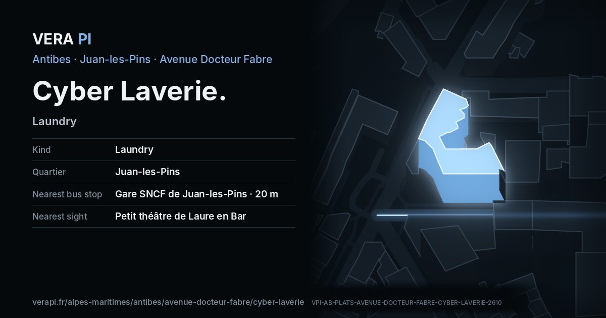The VERA PI card for Cyber Laverie