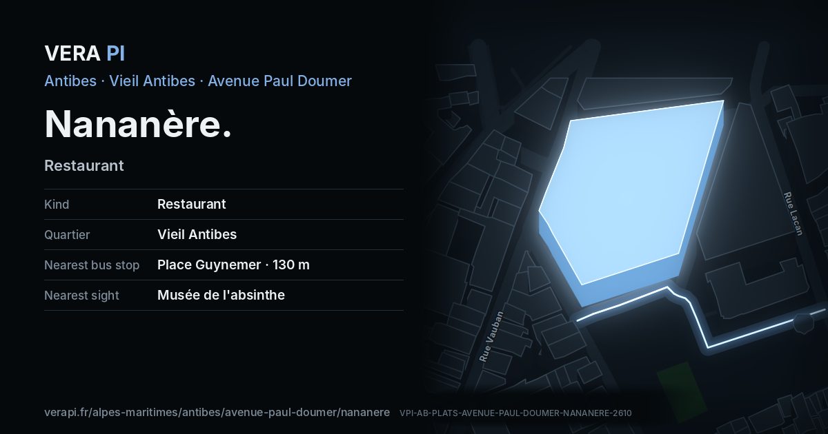The VERA PI card for Nananère
