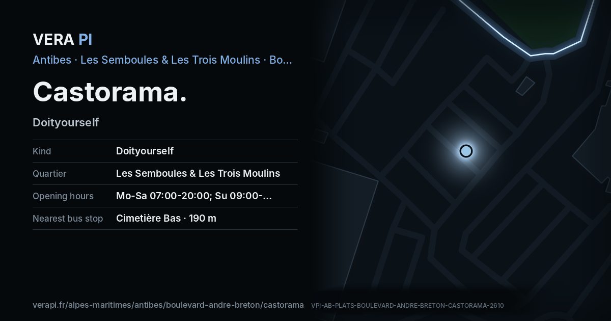 The VERA PI card for Castorama