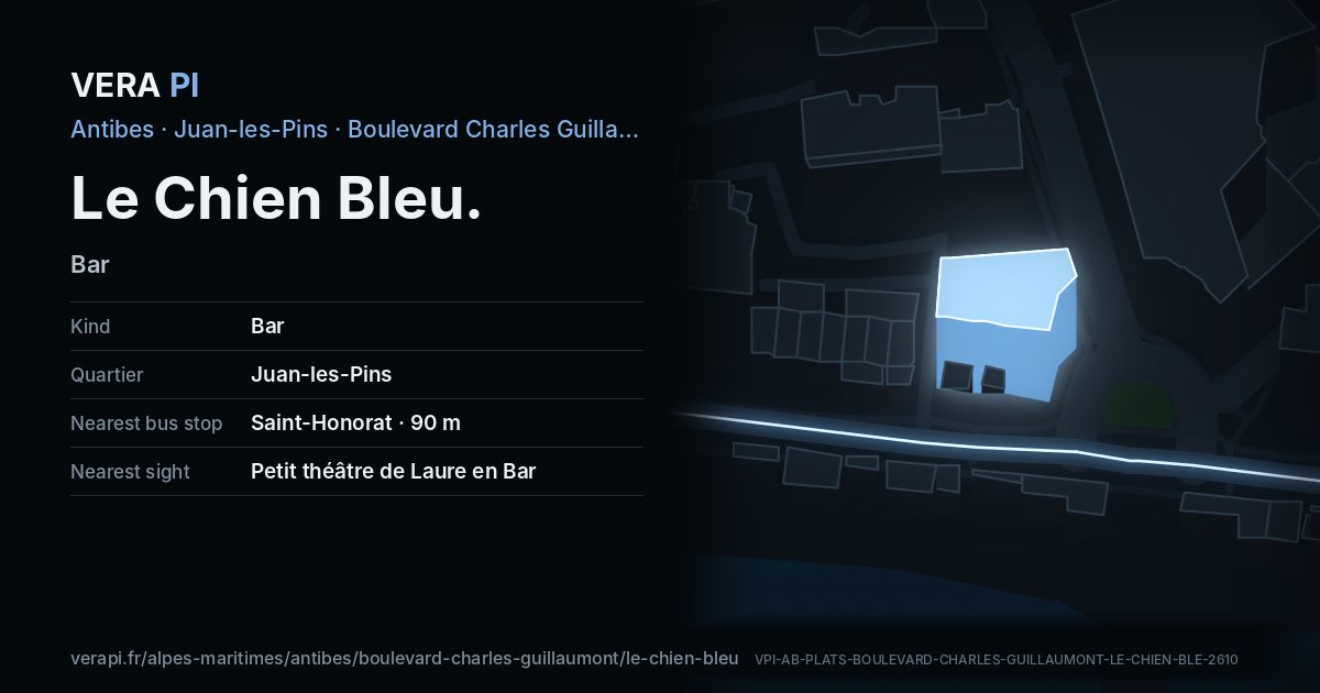 The VERA PI card for Le Chien Bleu