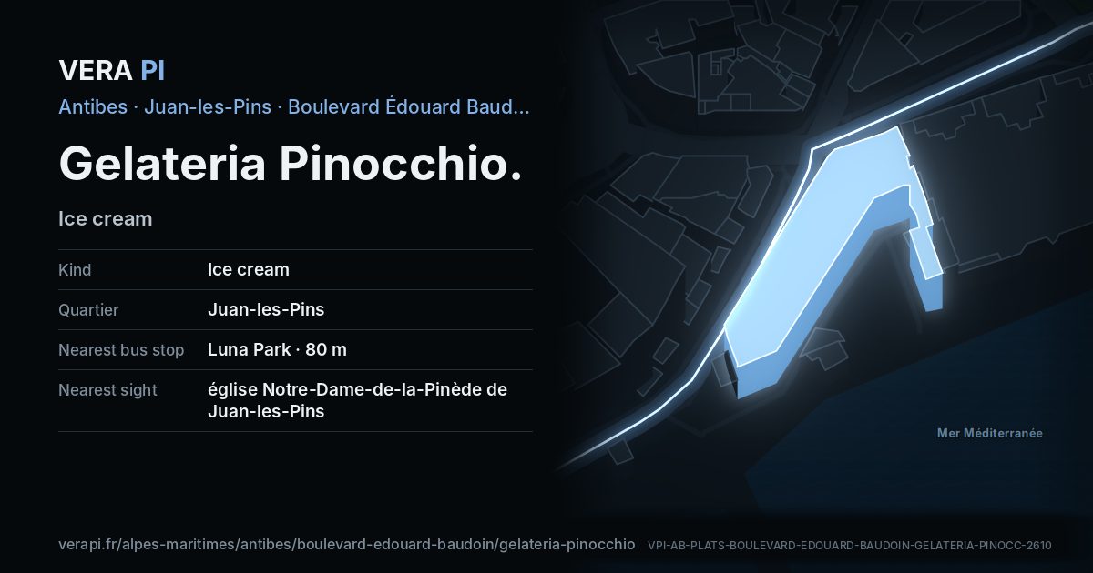 The VERA PI card for Gelateria Pinocchio