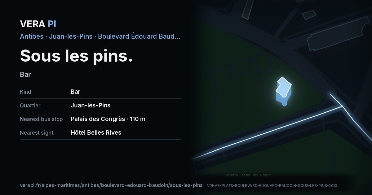 The VERA PI card for Sous les pins