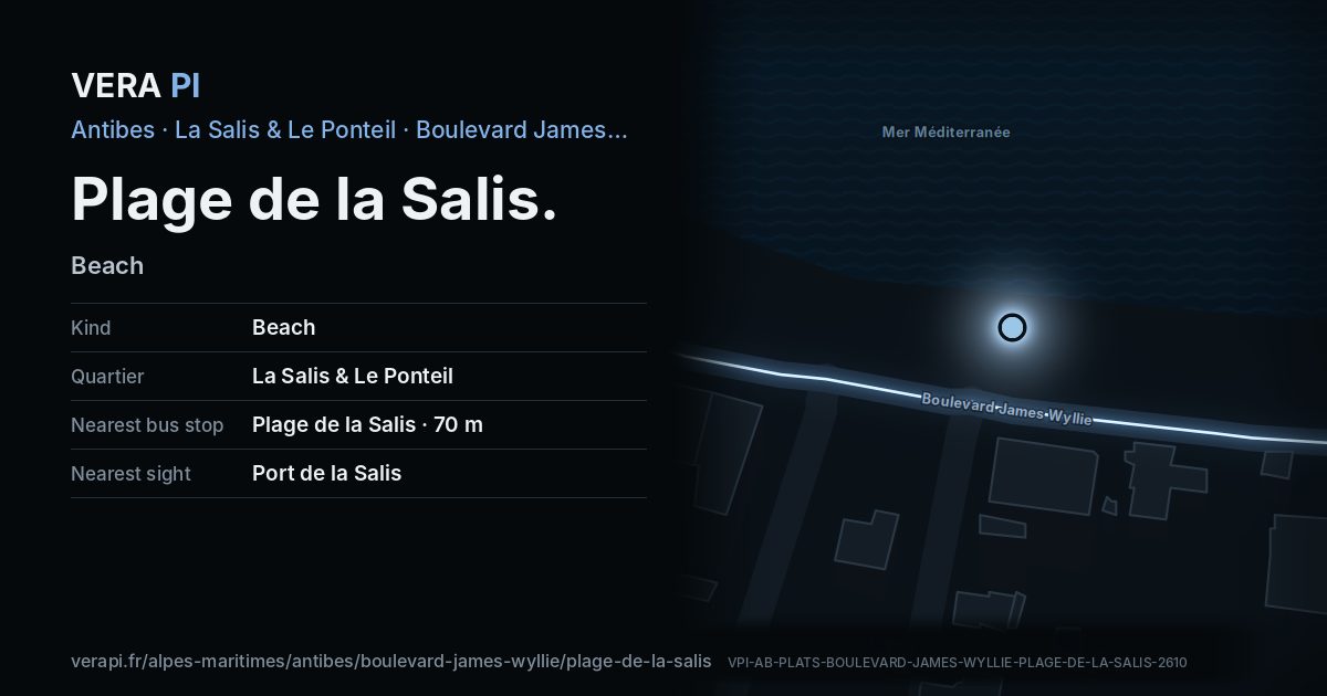 The VERA PI card for Plage de la Salis