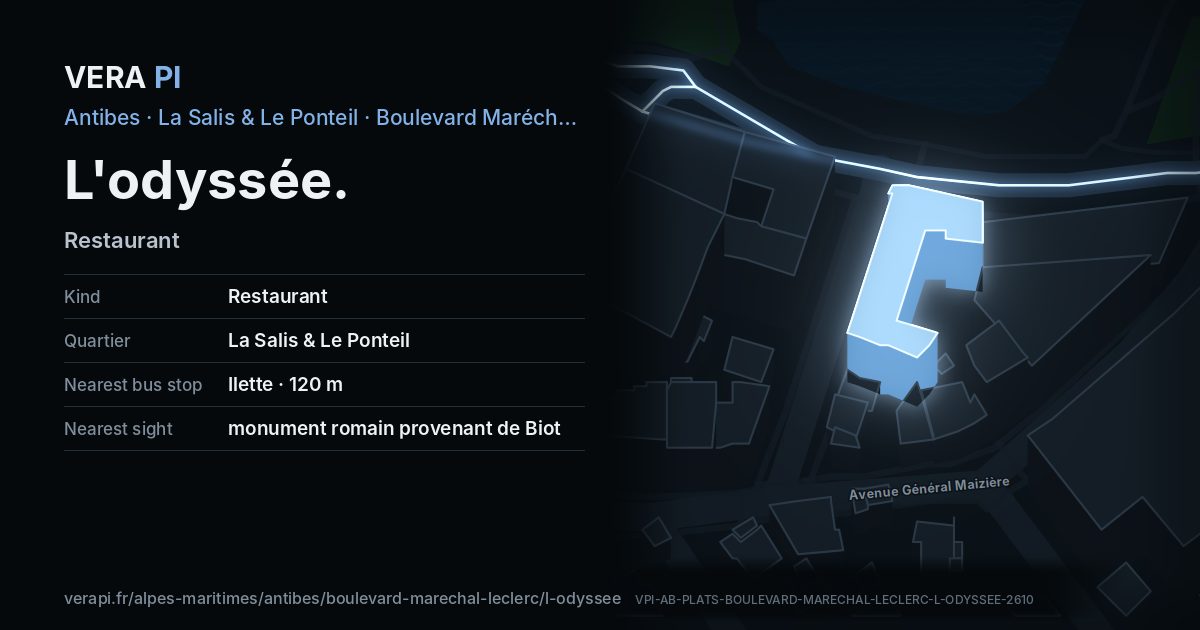 The VERA PI card for L'odyssée