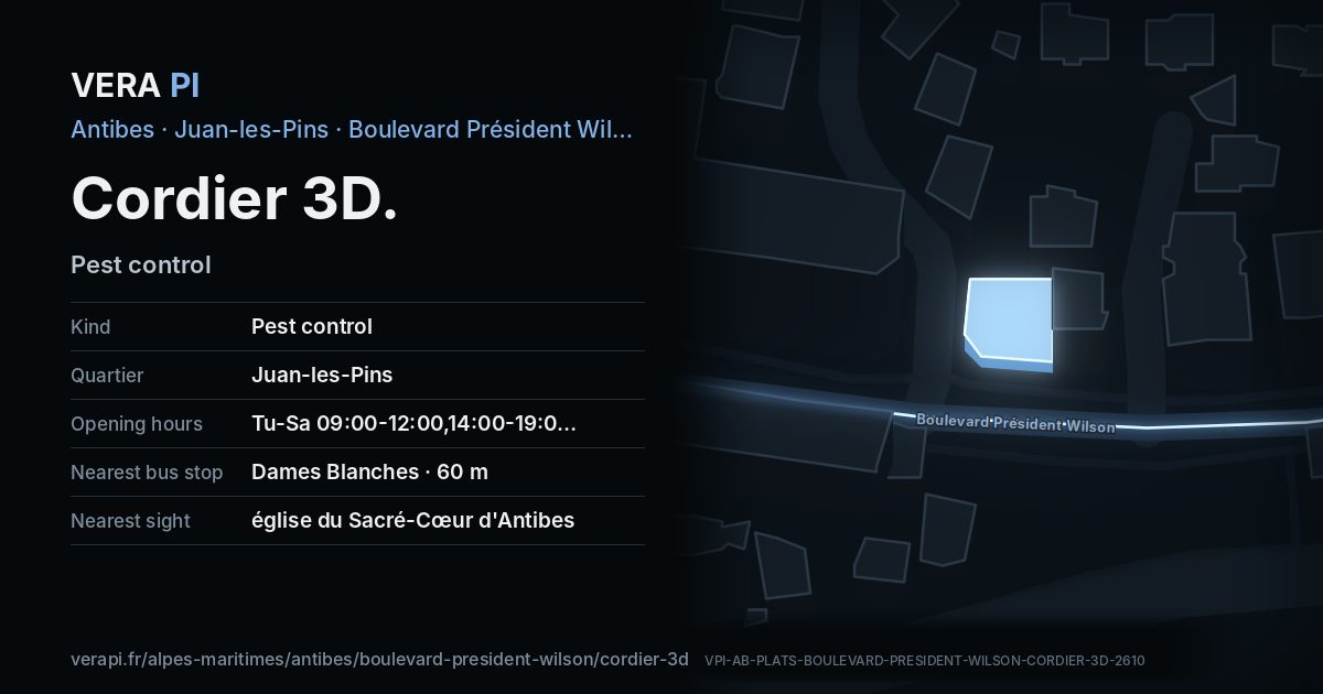 The VERA PI card for Cordier 3D