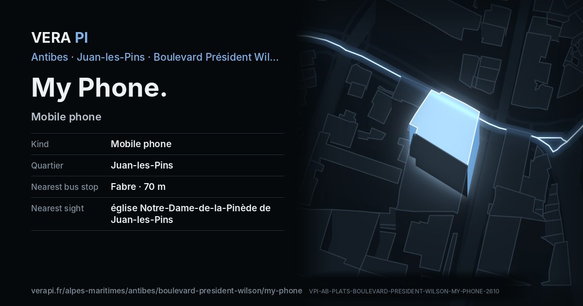 The VERA PI card for My Phone