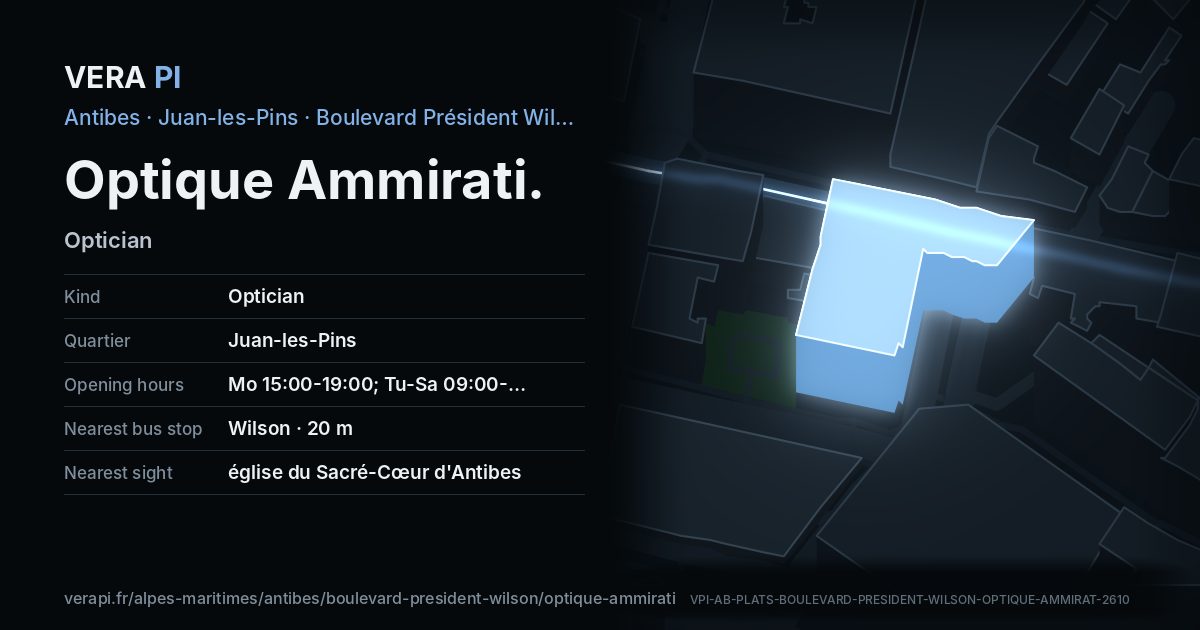 The VERA PI card for Optique Ammirati