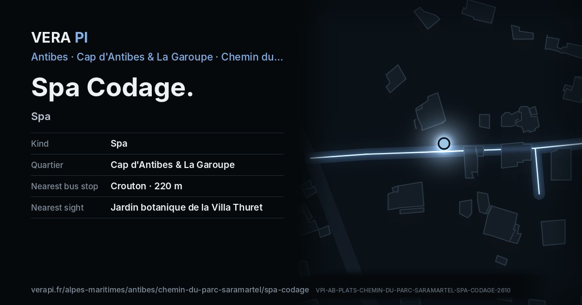 The VERA PI card for Spa Codage