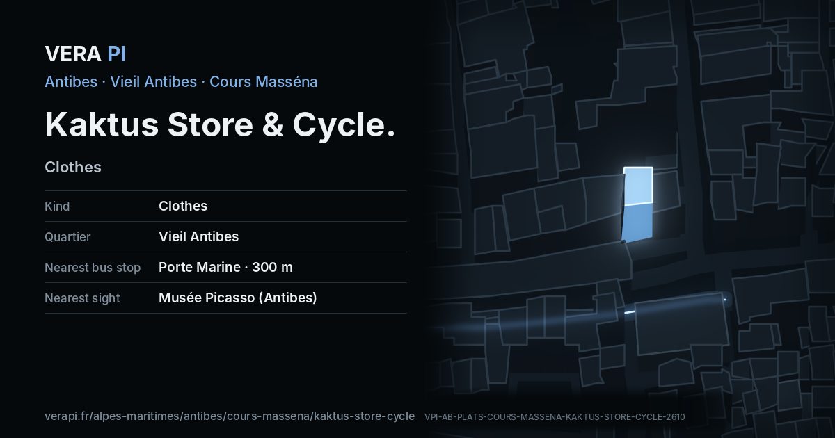 The VERA PI card for Kaktus Store & Cycle