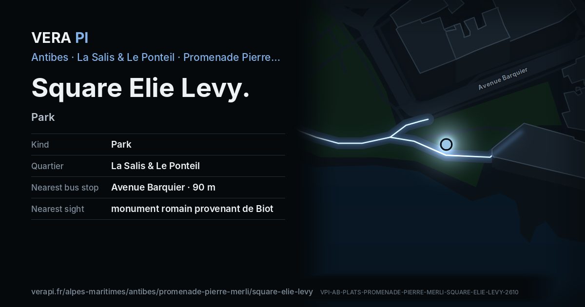 The VERA PI card for Square Elie Levy