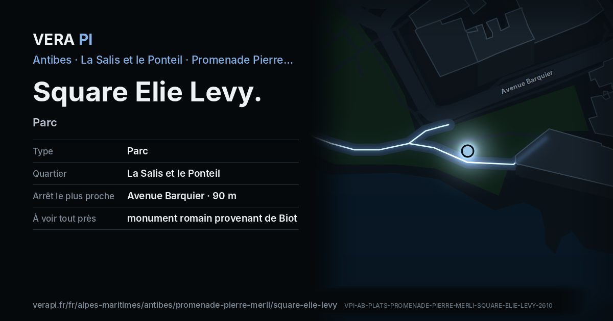 La carte VERA PI de Square Elie Levy