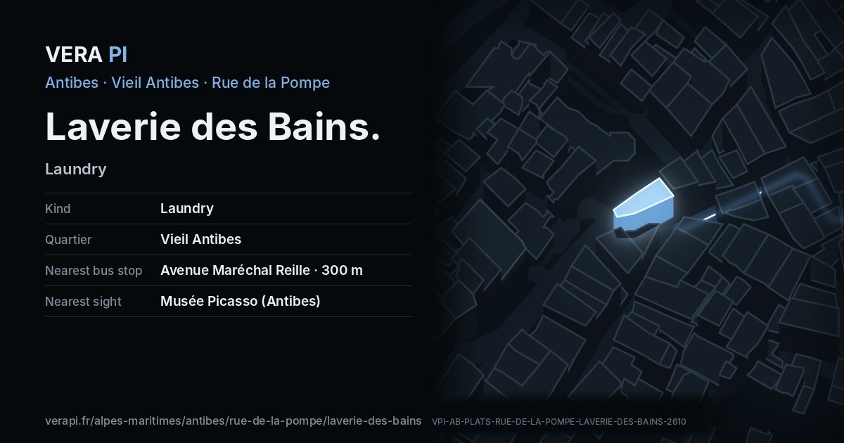The VERA PI card for Laverie des Bains