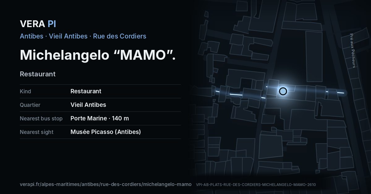 The VERA PI card for Michelangelo “MAMO”