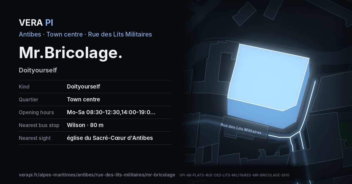 The VERA PI card for Mr.Bricolage