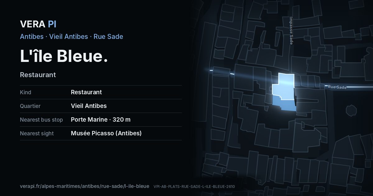 The VERA PI card for L'île Bleue