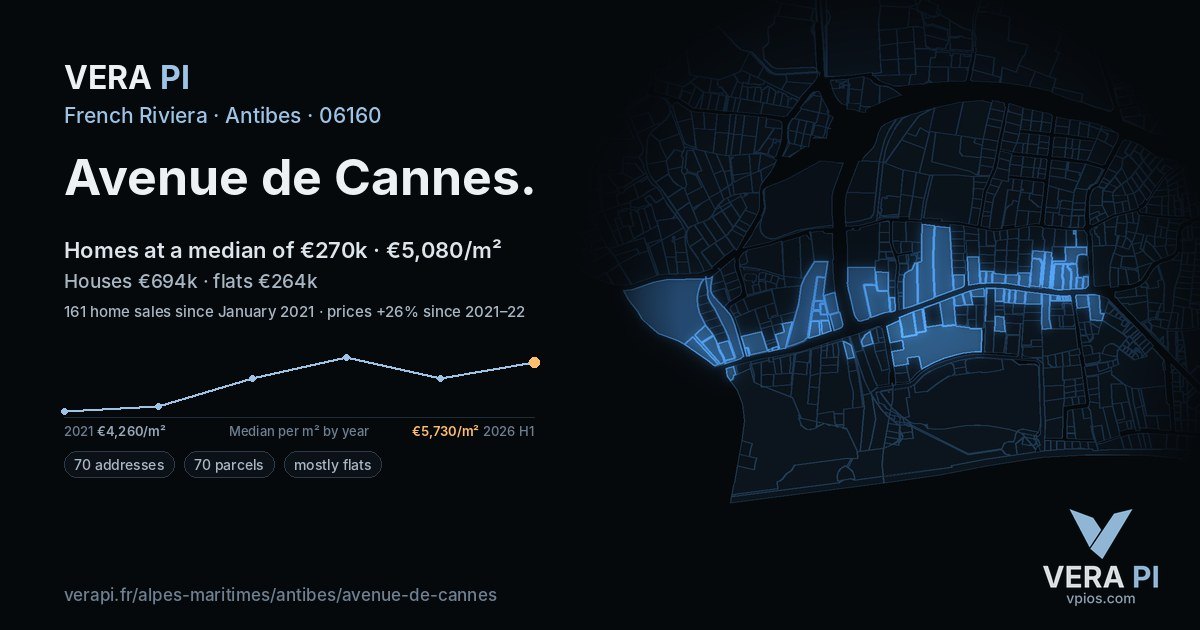 Avenue de Cannes, Antibes at night – every parcel coloured by the prices around it, the street's own parcels lit
