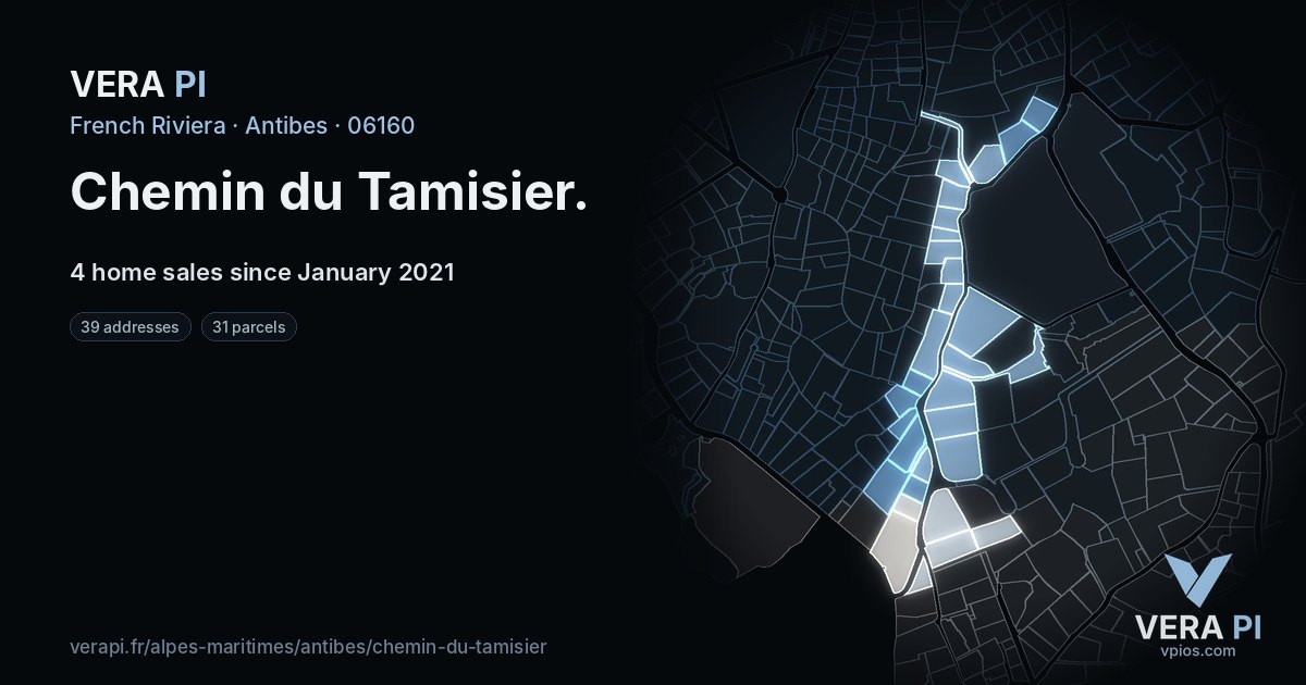 Chemin du Tamisier, Antibes at night – every parcel coloured by the prices around it, the street's own parcels lit