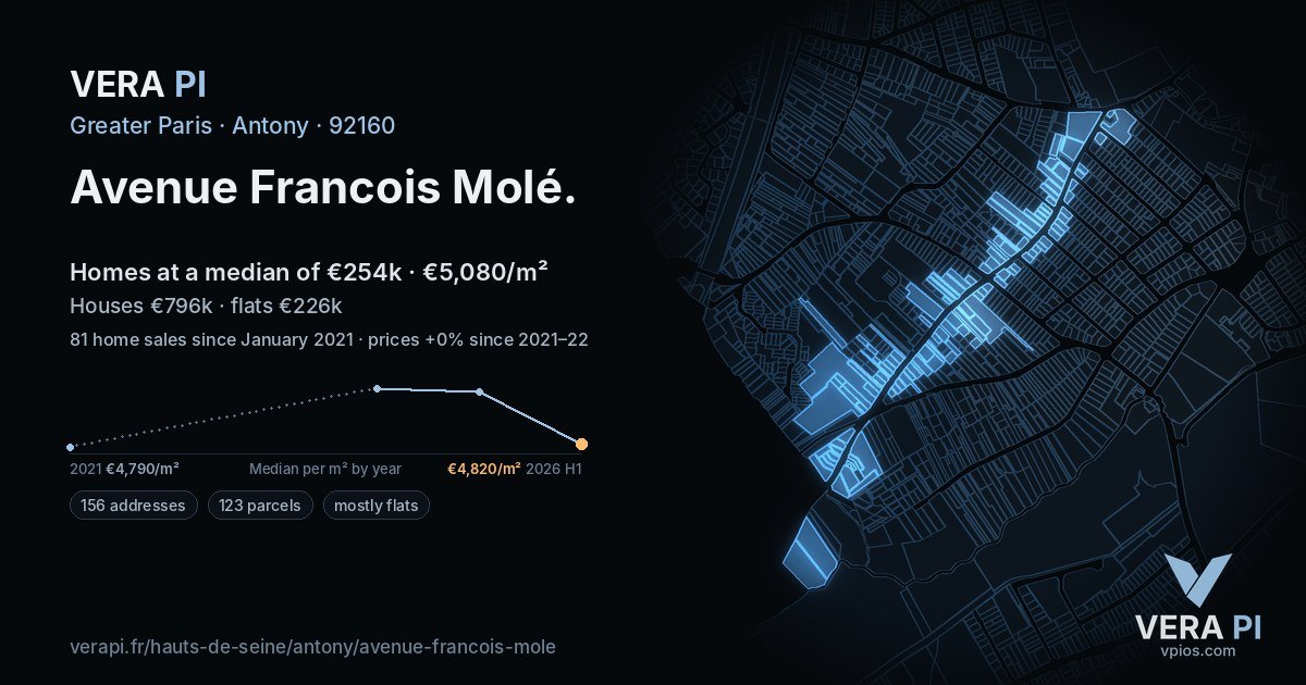 Avenue Francois Molé, Antony at night – every parcel coloured by the prices around it, the street's own parcels lit
