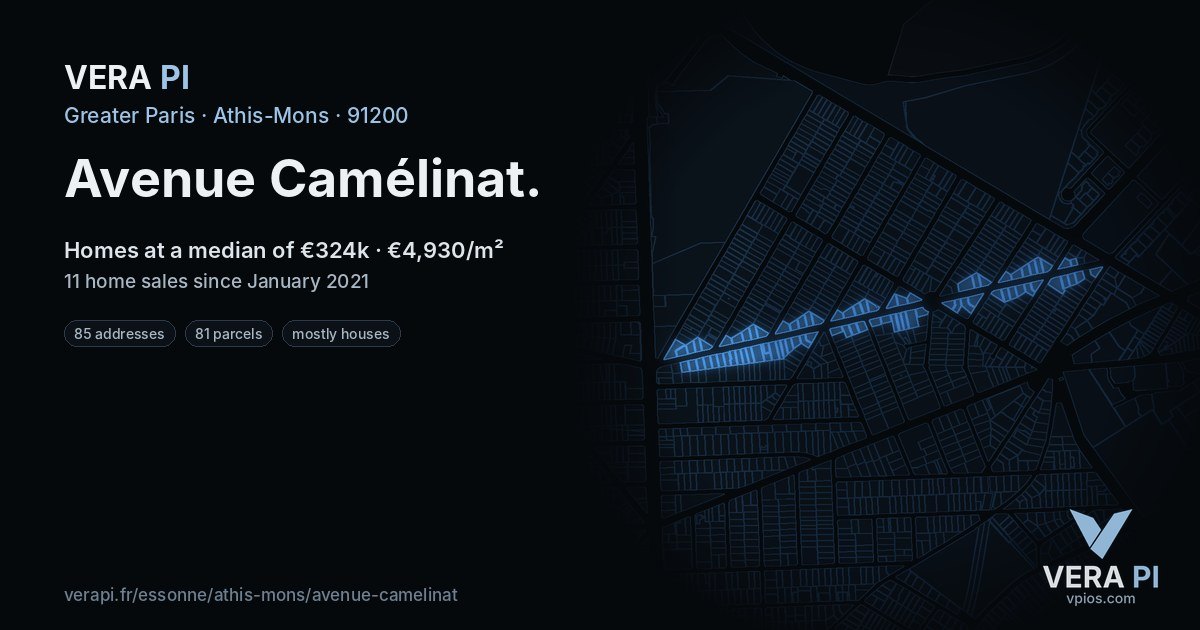 Avenue Camélinat, Athis-Mons at night – every parcel coloured by the prices around it, the street's own parcels lit
