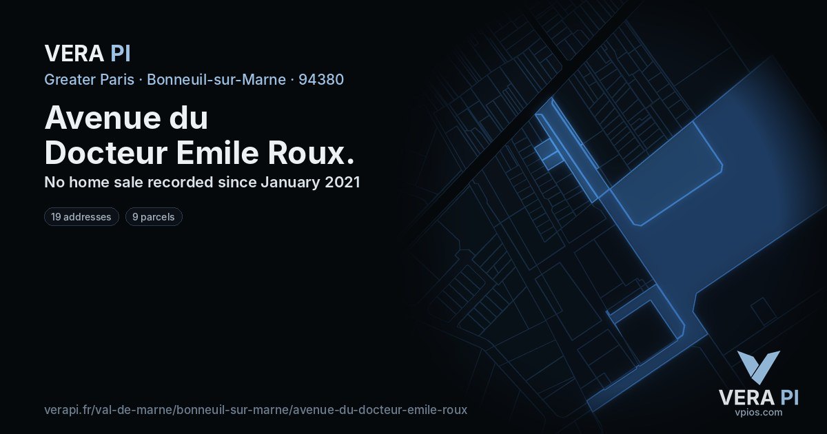 Avenue du Docteur Emile Roux, Bonneuil-sur-Marne at night – every parcel coloured by the prices around it, the street's own parcels lit
