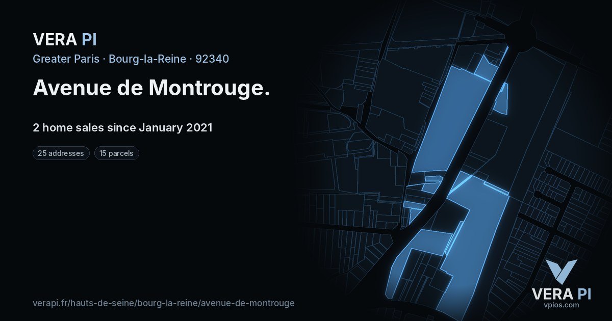 Avenue de Montrouge, Bourg-la-Reine at night – every parcel coloured by the prices around it, the street's own parcels lit