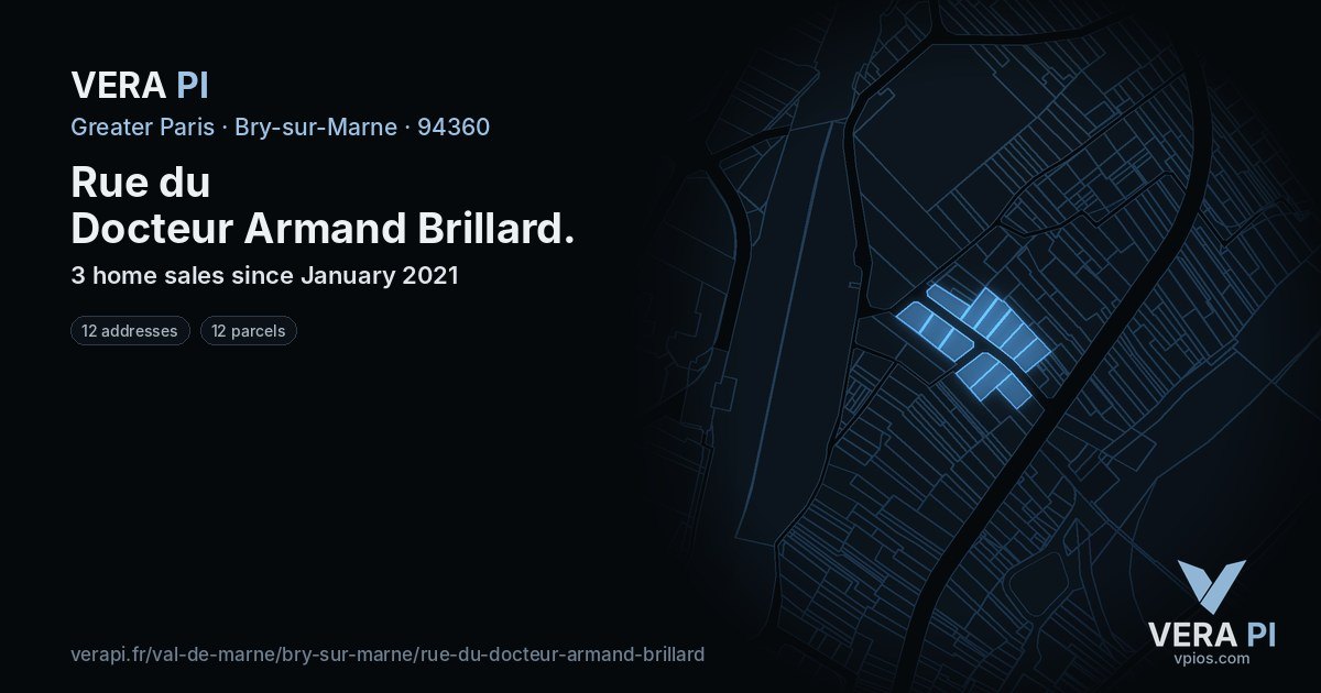 Rue du Docteur Armand Brillard, Bry-sur-Marne at night – every parcel coloured by the prices around it, the street's own parcels lit