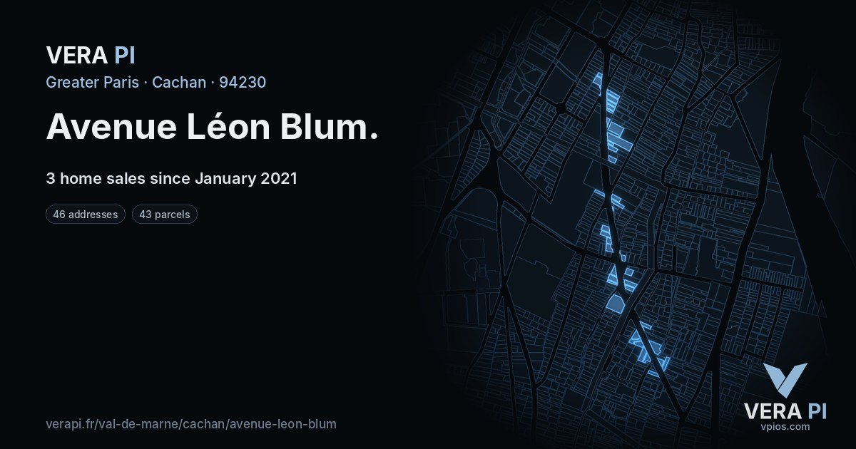 Avenue Léon Blum, Cachan at night – every parcel coloured by the prices around it, the street's own parcels lit