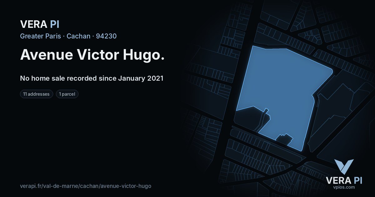 Avenue Victor Hugo, Cachan at night – every parcel coloured by the prices around it, the street's own parcels lit