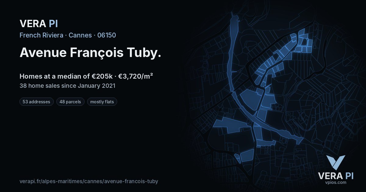 Avenue François Tuby, Cannes at night – every parcel coloured by the prices around it, the street's own parcels lit