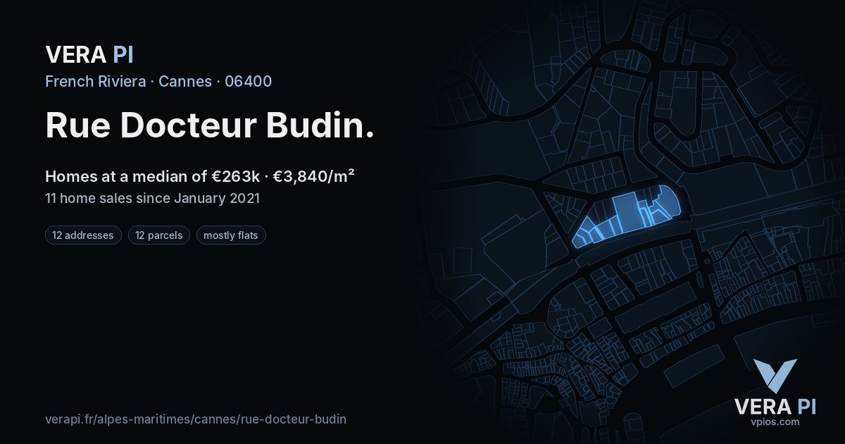 Rue Docteur Budin, Cannes at night – every parcel coloured by the prices around it, the street's own parcels lit