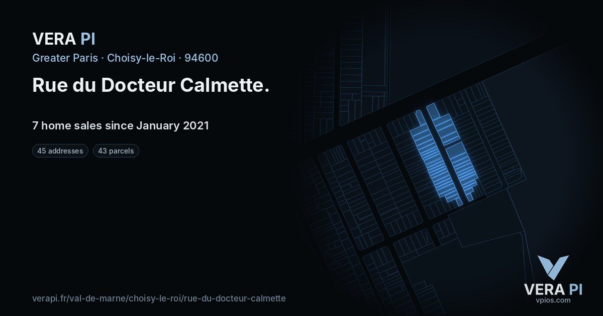Rue du Docteur Calmette, Choisy-le-Roi at night – every parcel coloured by the prices around it, the street's own parcels lit