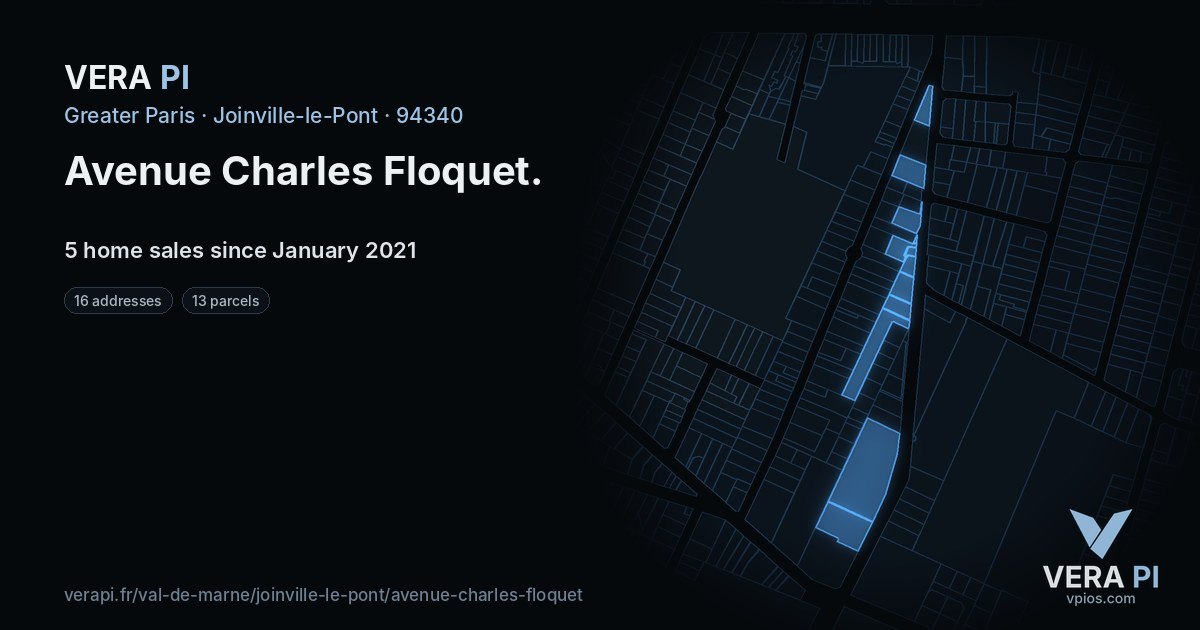 Avenue Charles Floquet, Joinville-le-Pont at night – every parcel coloured by the prices around it, the street's own parcels lit