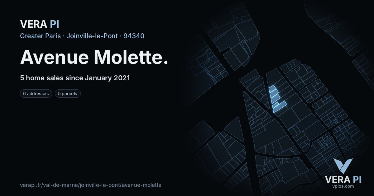 Avenue Molette, Joinville-le-Pont at night – every parcel coloured by the prices around it, the street's own parcels lit