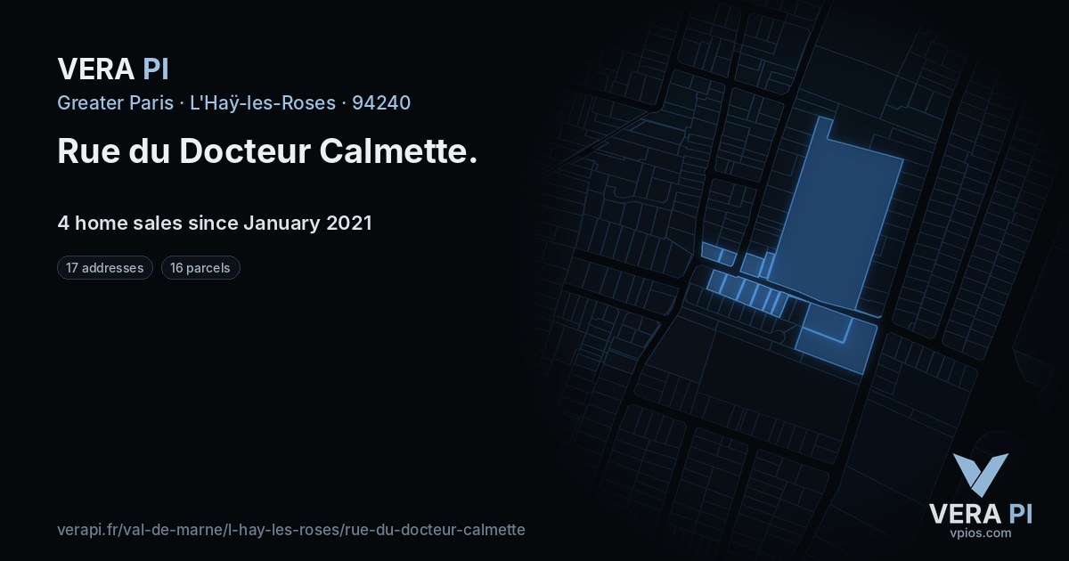 Rue du Docteur Calmette, L'Haÿ-les-Roses at night – every parcel coloured by the prices around it, the street's own parcels lit
