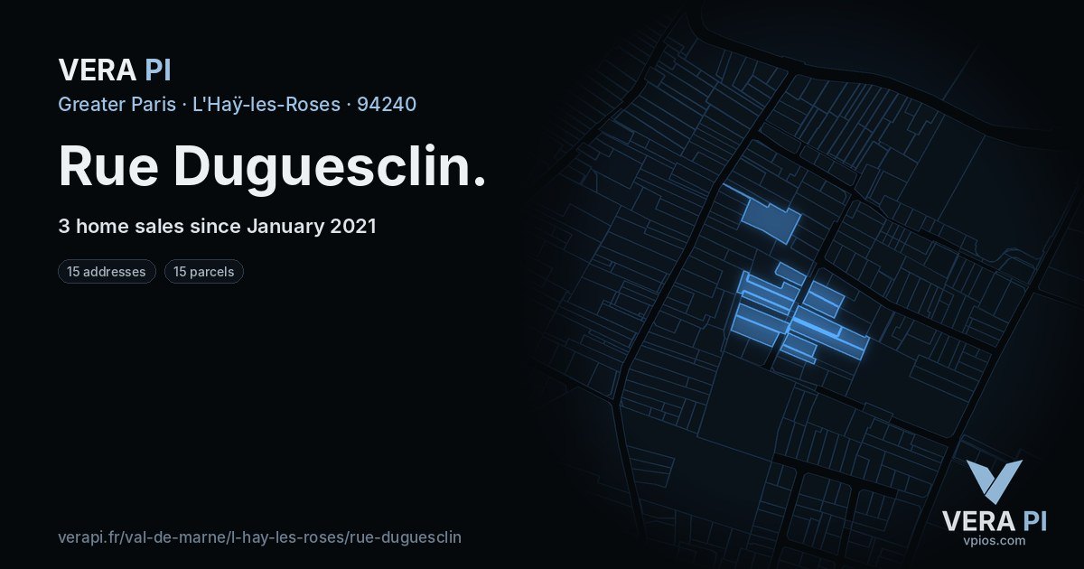Rue Duguesclin, L'Haÿ-les-Roses at night – every parcel coloured by the prices around it, the street's own parcels lit
