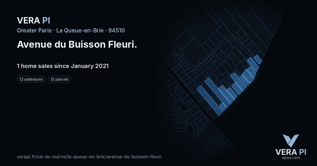 Avenue du Buisson Fleuri, La Queue-en-Brie at night – every parcel coloured by the prices around it, the street's own parcels lit