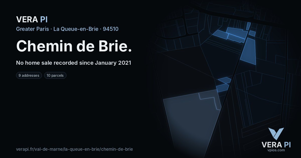 Chemin de Brie, La Queue-en-Brie at night – every parcel coloured by the prices around it, the street's own parcels lit