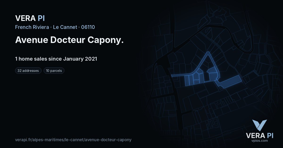 Avenue Docteur Capony, Le Cannet at night – every parcel coloured by the prices around it, the street's own parcels lit