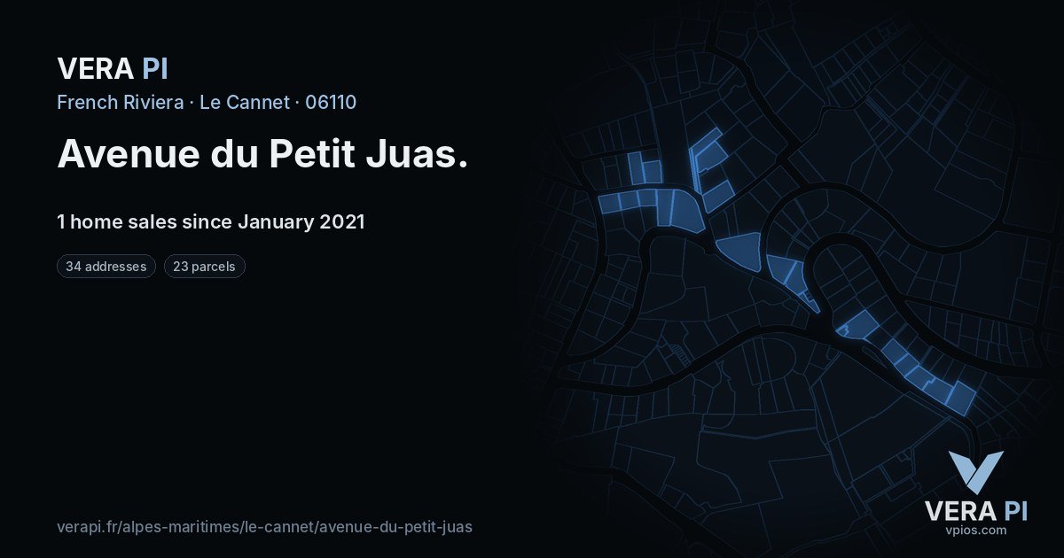 Avenue du Petit Juas, Le Cannet at night – every parcel coloured by the prices around it, the street's own parcels lit