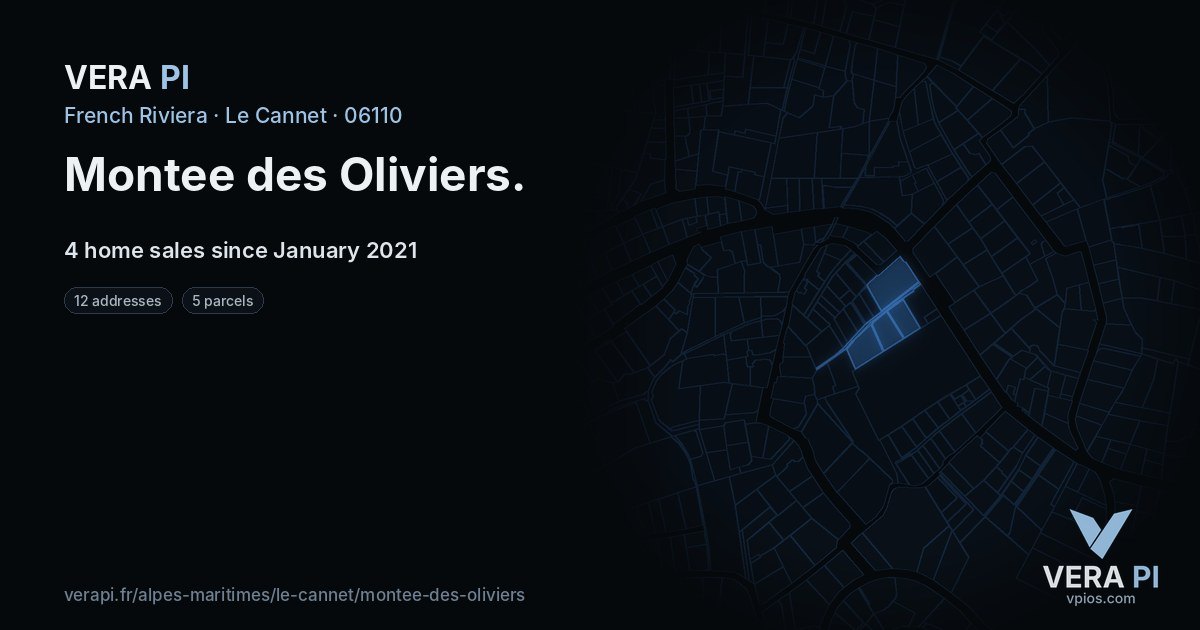 Montee des Oliviers, Le Cannet at night – every parcel coloured by the prices around it, the street's own parcels lit