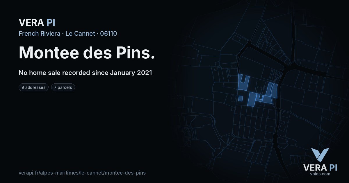 Montee des Pins, Le Cannet at night – every parcel coloured by the prices around it, the street's own parcels lit