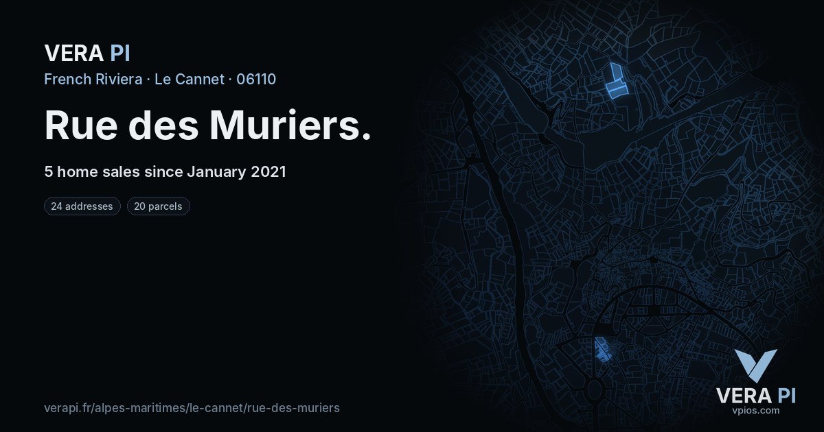 Rue des Muriers, Le Cannet at night – every parcel coloured by the prices around it, the street's own parcels lit