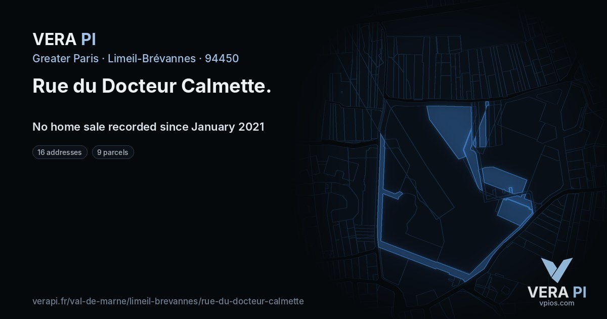 Rue du Docteur Calmette, Limeil-Brévannes at night – every parcel coloured by the prices around it, the street's own parcels lit