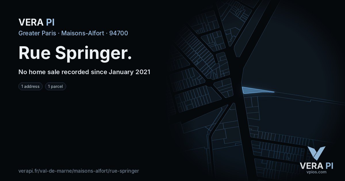 Rue Springer, Maisons-Alfort at night – every parcel coloured by the prices around it, the street's own parcels lit