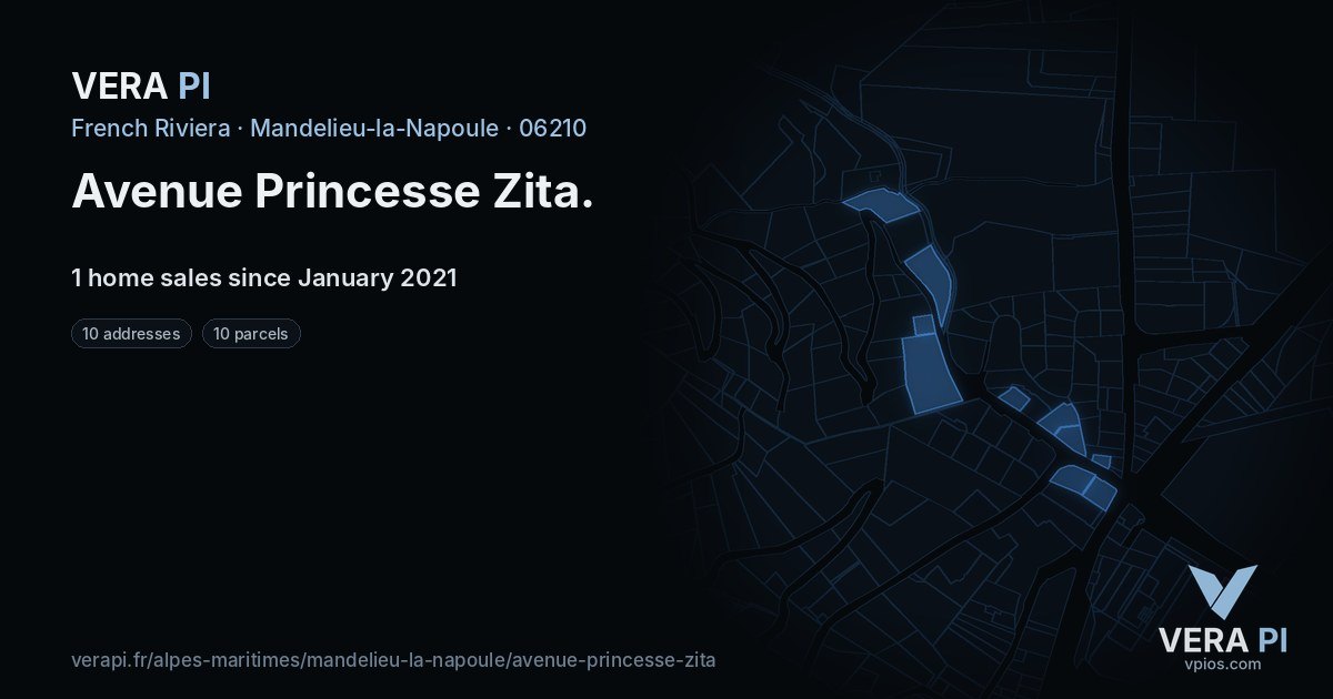 Avenue Princesse Zita, Mandelieu-la-Napoule at night – every parcel coloured by the prices around it, the street's own parcels lit