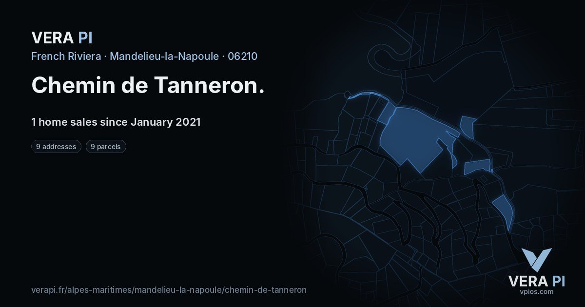 Chemin de Tanneron, Mandelieu-la-Napoule at night – every parcel coloured by the prices around it, the street's own parcels lit