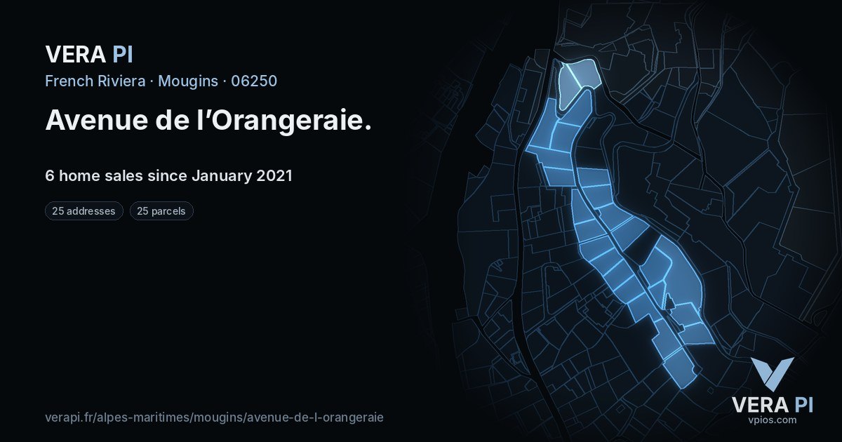 Avenue de l’Orangeraie, Mougins at night – every parcel coloured by the prices around it, the street's own parcels lit